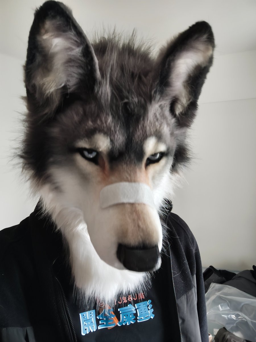 一坨废翔/Shio tweet media