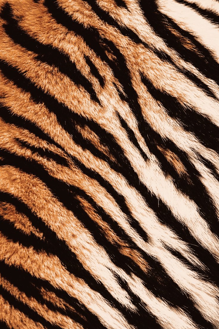 corpsetampers's tweet photo. you  may  try  …（  a  smile  painted  upon  brins，graceful  like  a  tiger  on  its  hunt.  his  eyes  hidden  beneath  pair  of  dark  lenses  still  sparkle  with  amusement.  ）i  like  a  bold  man. https://t.co/LKwvCxsBsT