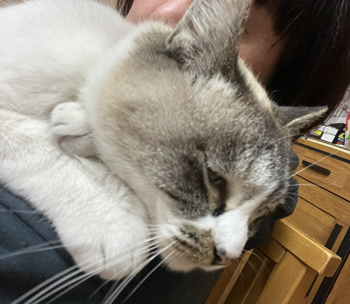 ウエダリョウコ tweet media