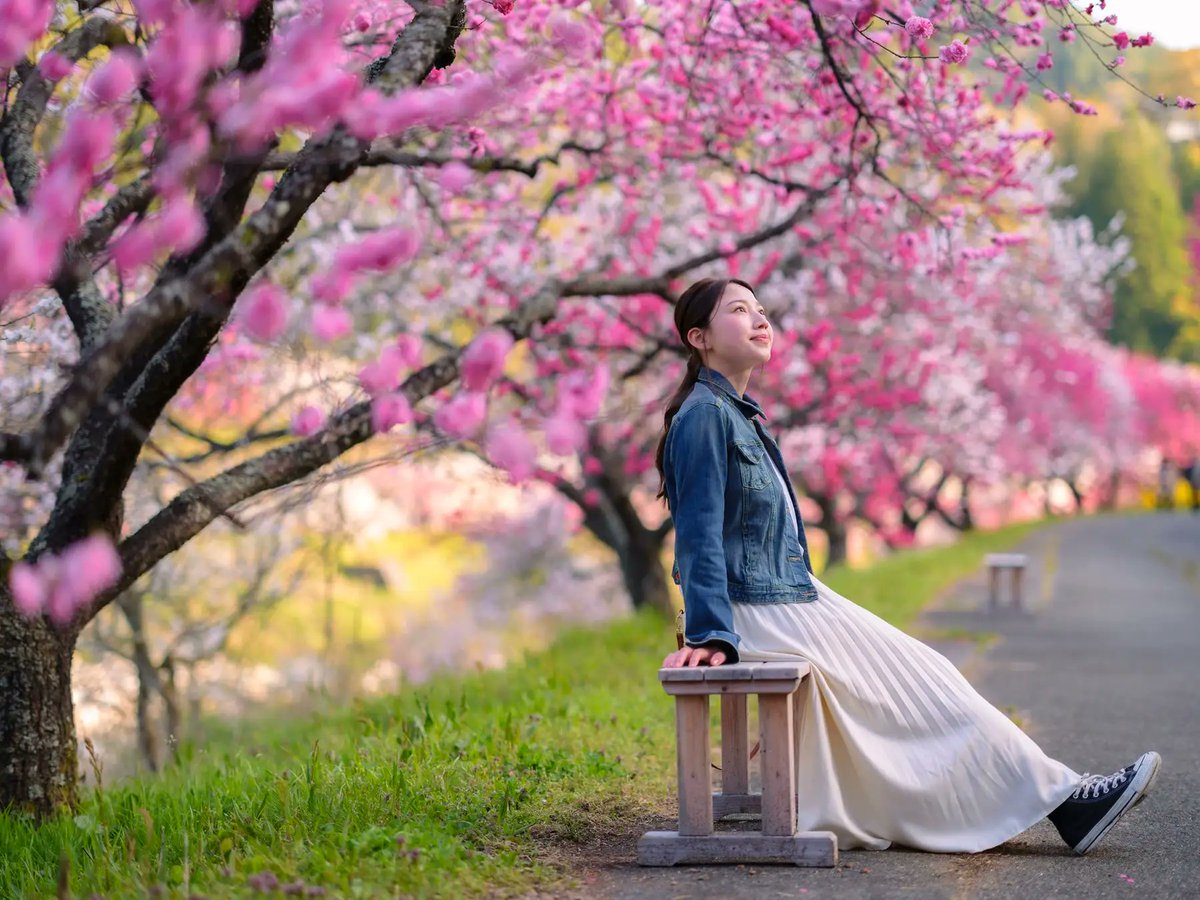 【公式】阿智☆昼神観光局-長野県阿智村 tweet media