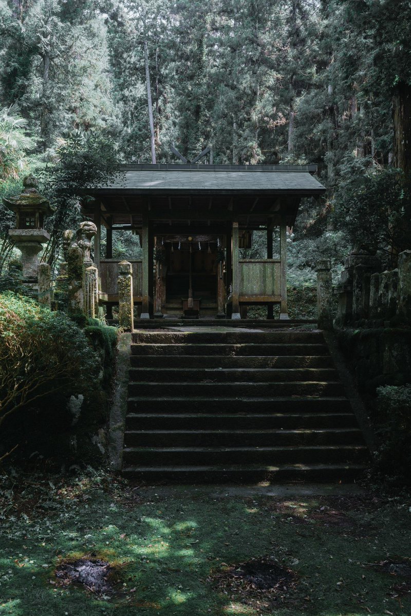 森のフォトスタジオ〜丹波〜 tweet media