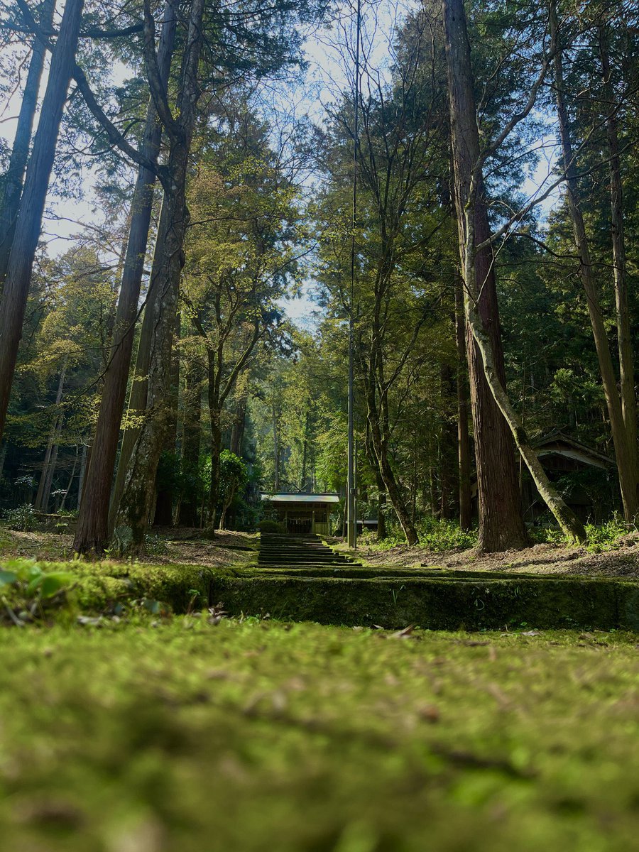 森のフォトスタジオ〜丹波〜 tweet media