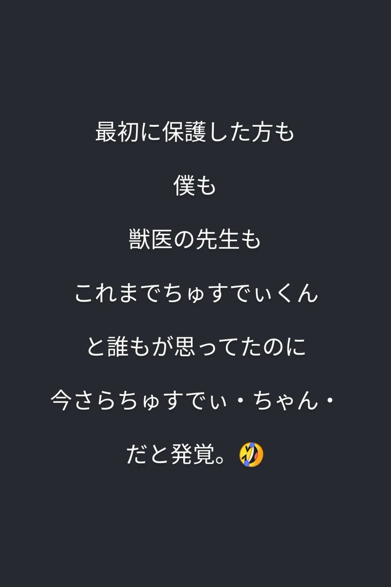 ジリ・ヴァンソン tweet media