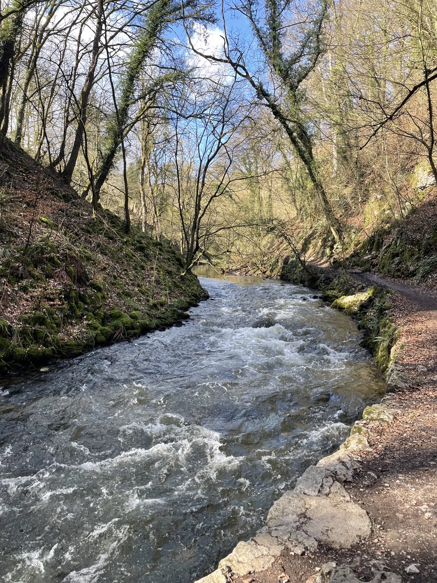 Tony Warne tweet media