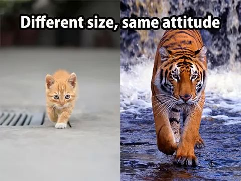 Stรฉphane Lefebvre - Slartzone production tweet media