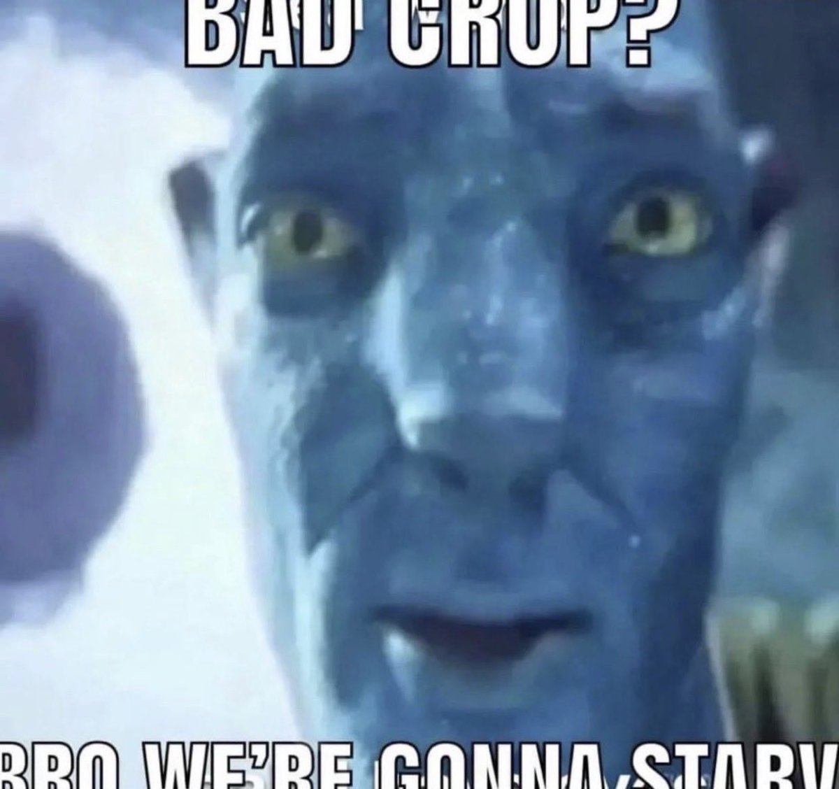 ẞ 🏳️⚧️ tweet media