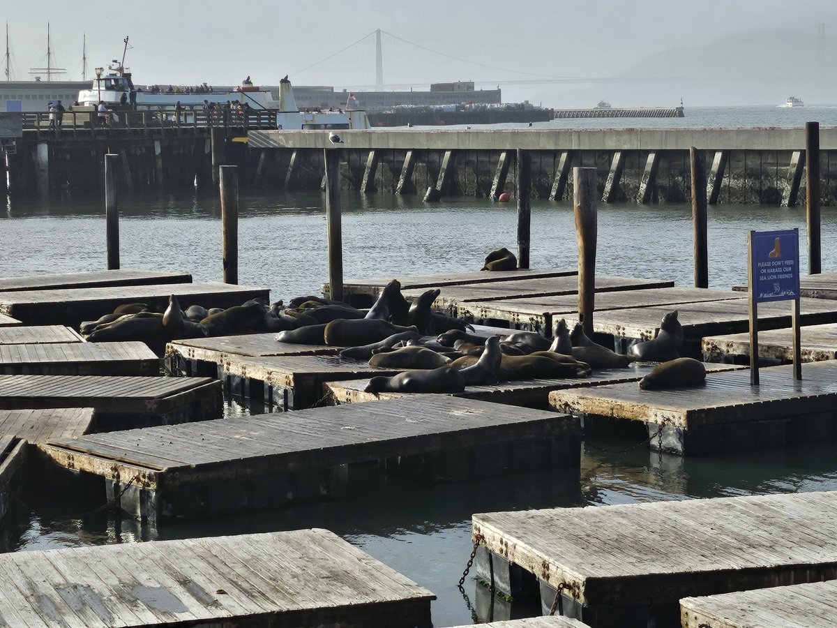 Mong Palatino tweet media