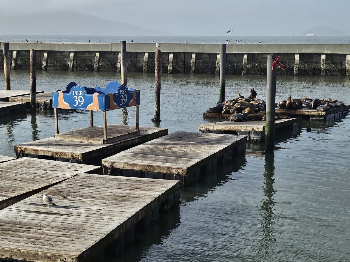 Mong Palatino tweet media