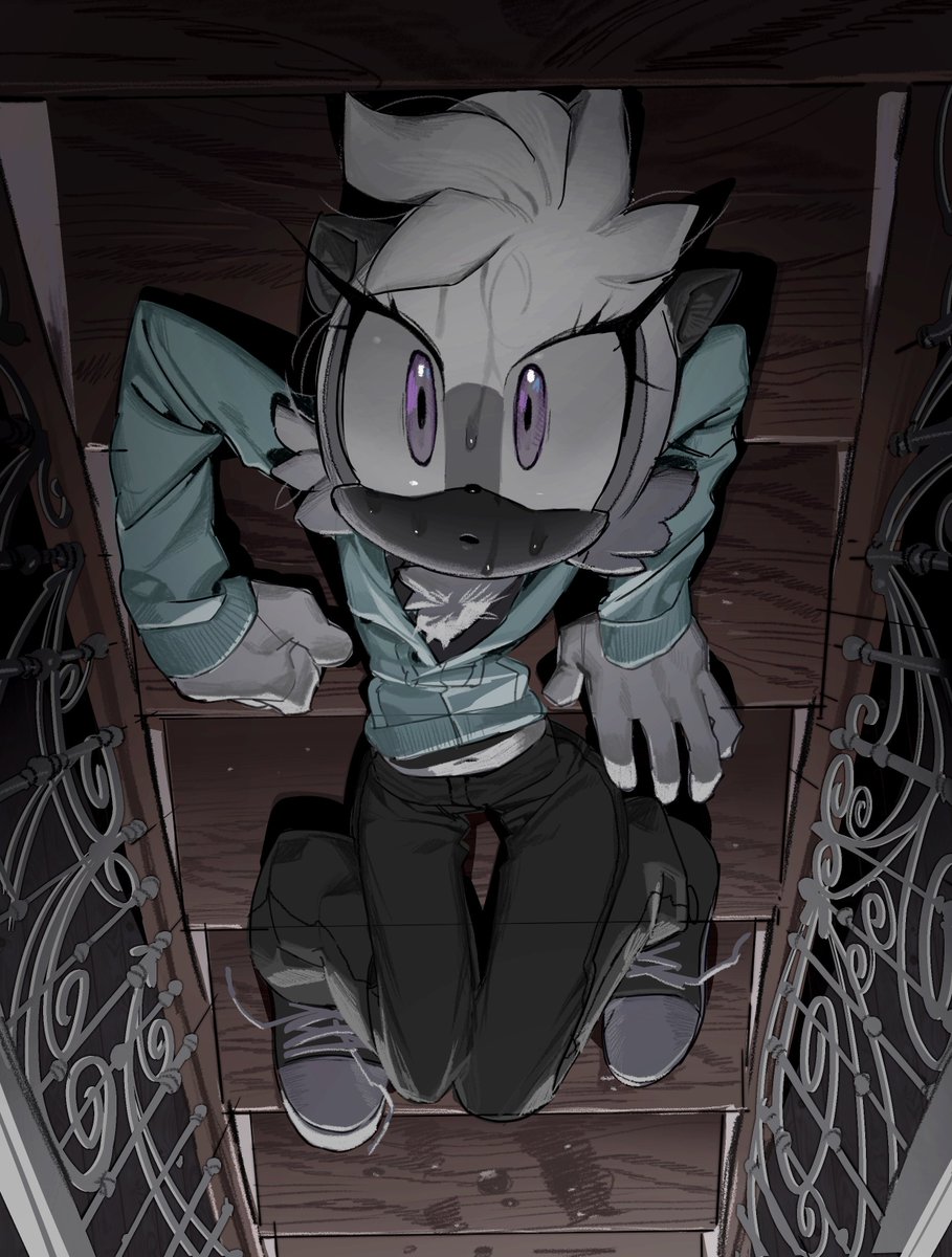 🤍 Whispangle Daily 🧡 tweet media