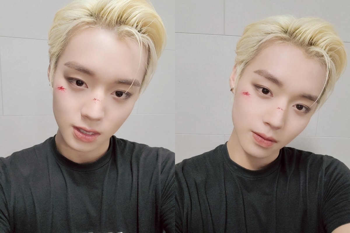 나는 may tweet media