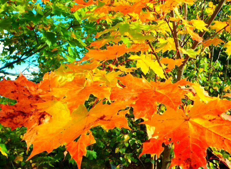 Stef Dimitrova tweet media