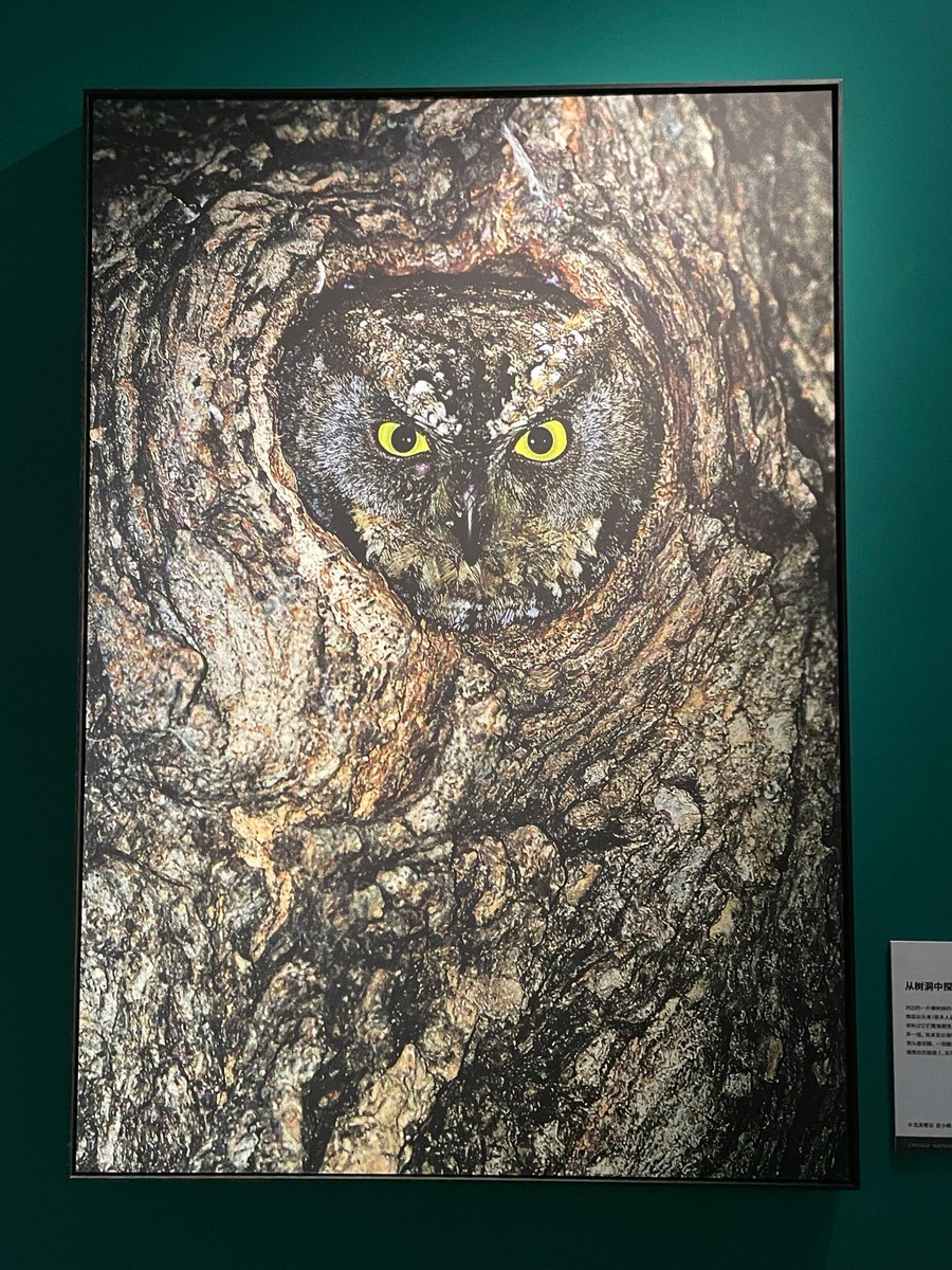 JOHN FRANCISCO tweet media