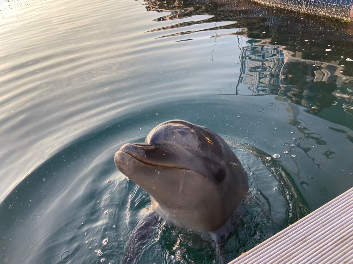 Selah-せら- tweet media