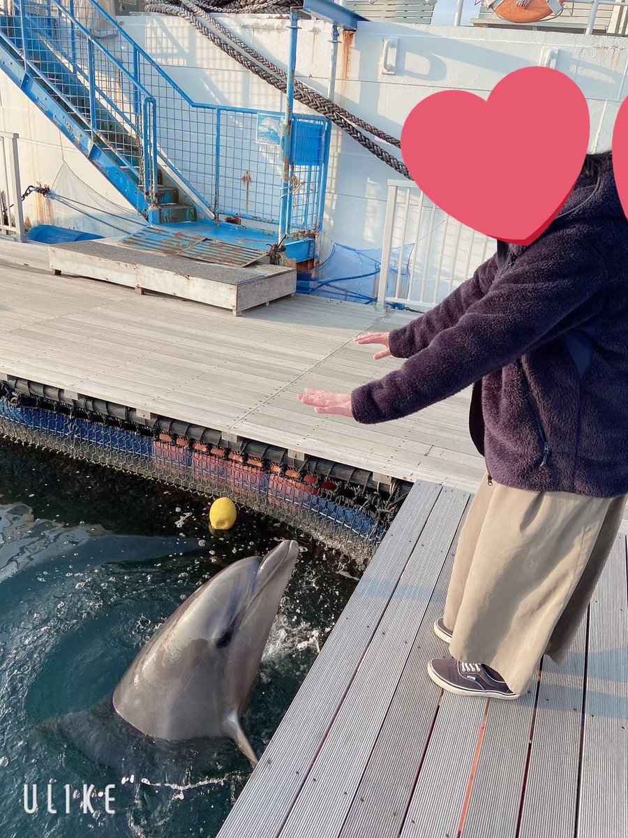 Selah-せら- tweet media