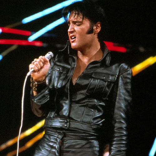 Select Domains tweet media