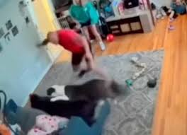 Paul Mueller tweet media