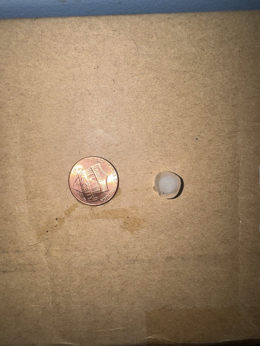 Storm Chaser Barbie tweet media