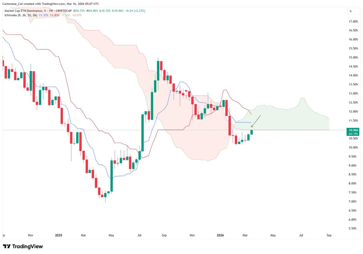 Cantonese Cat 🐱🐈 tweet media