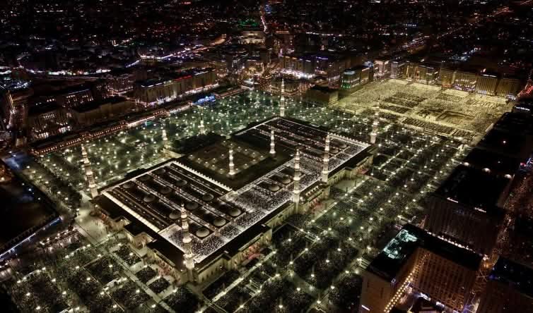 محمد توحيد مہربان tweet media