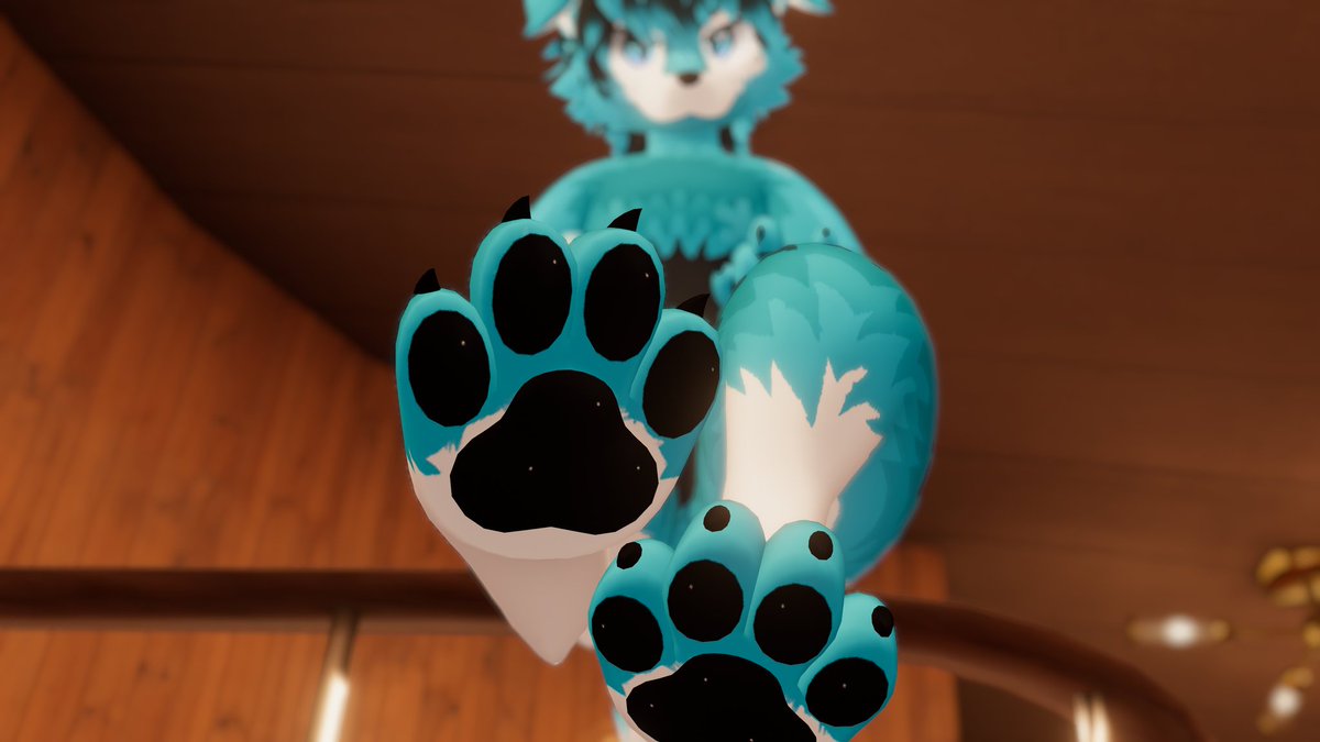 Fuzzy Husky 🐾 tweet media