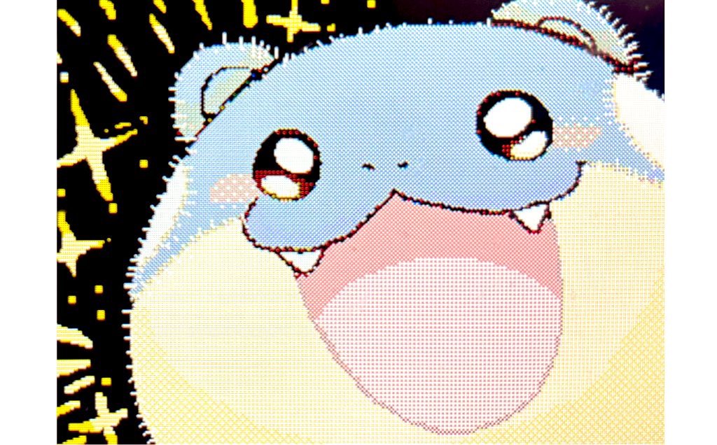 まる茶 tweet media