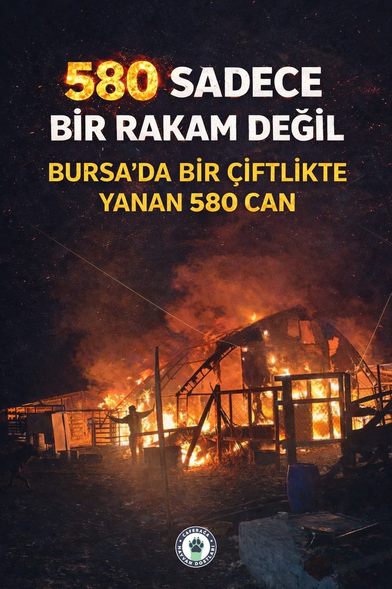 Caferağa Mahallesi Hayvan Dostları 🐾 tweet media