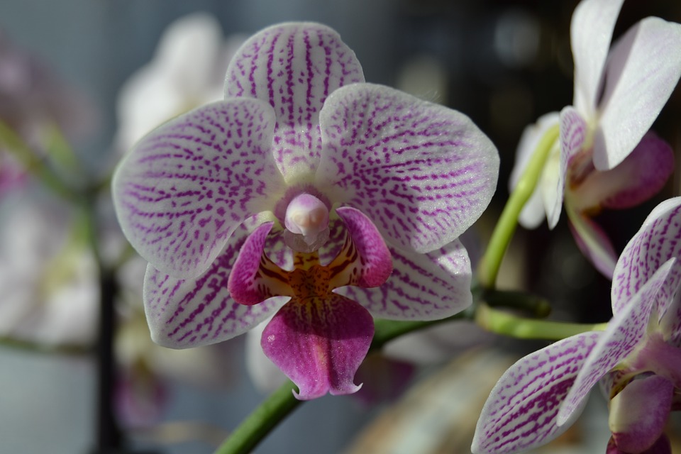 Мария Самсонова 💕 tweet media