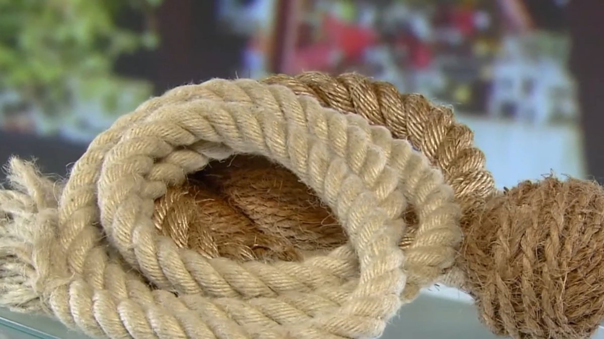 patricia spohn tweet media