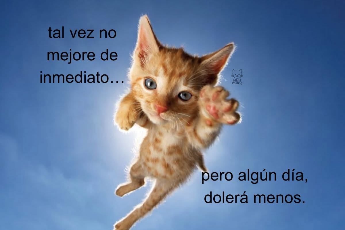 gord0 nugget tweet media