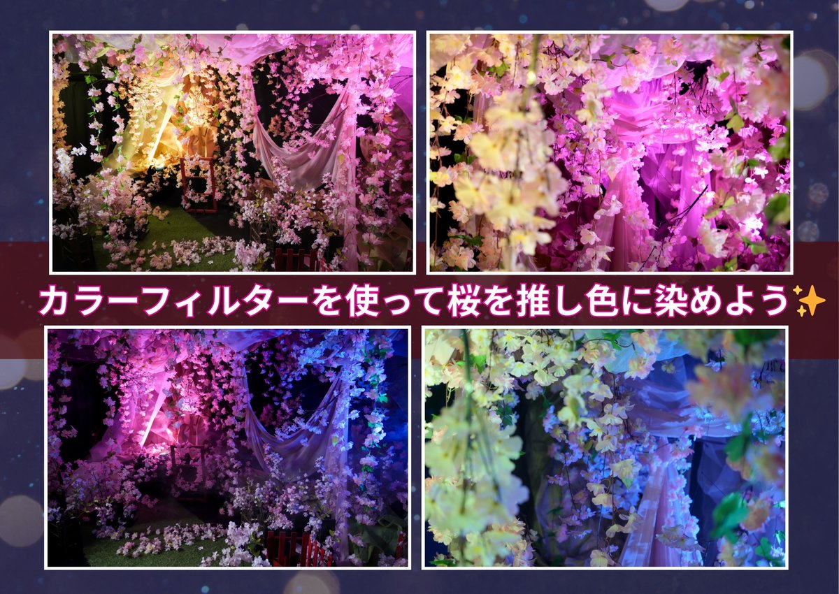 スタジオコローレ:3/2～4/30【桜🌸】 tweet media