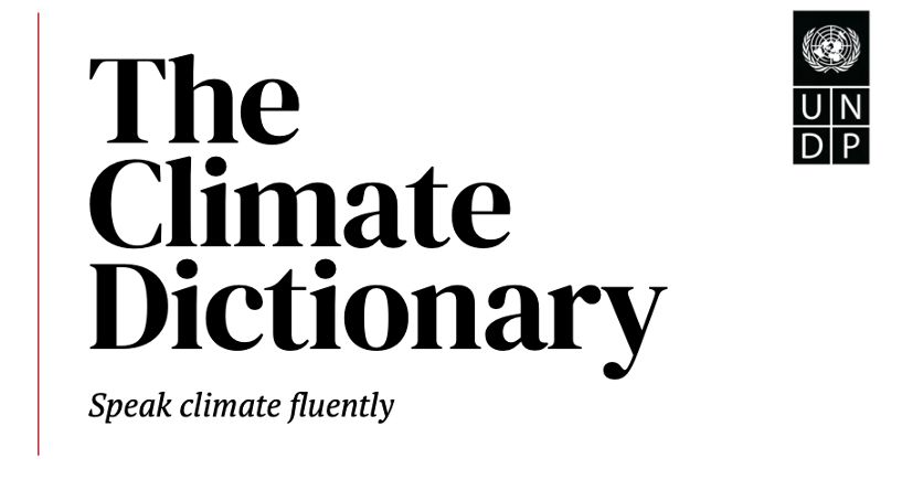 BoardsImpactForum tweet media