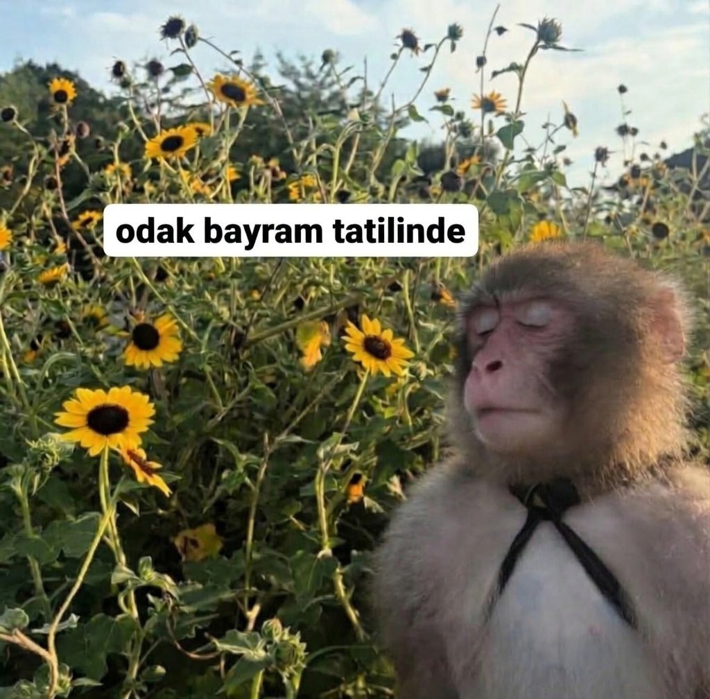 Emre Güzel tweet media