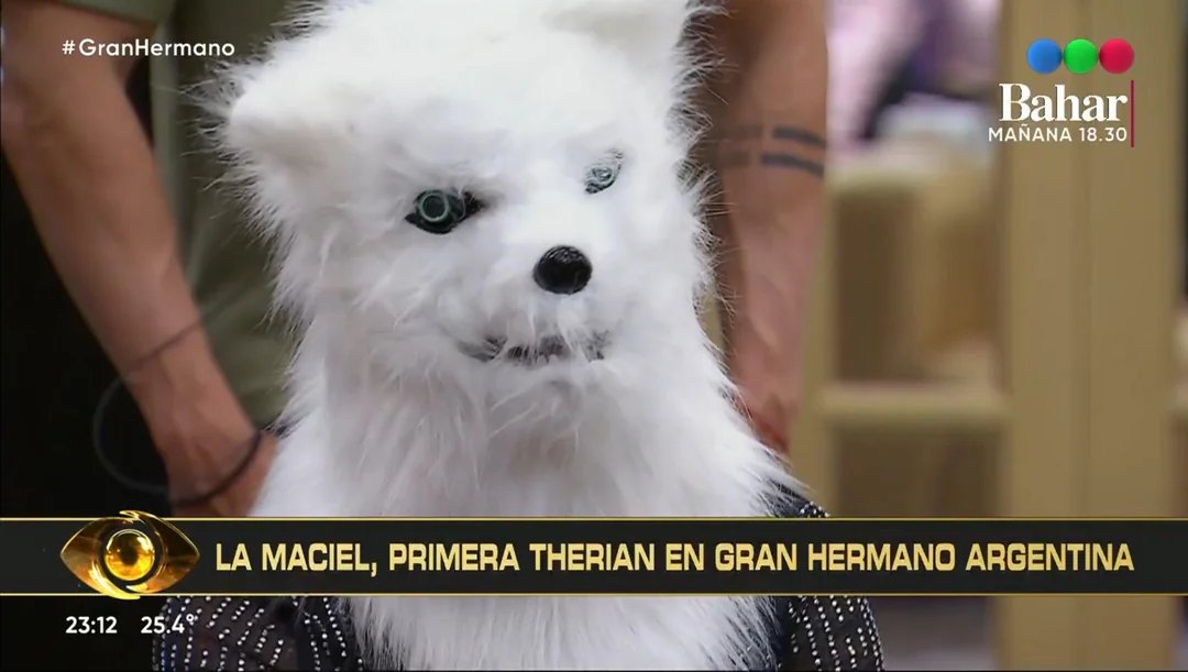 Yo pensaba que el cupo de therian estaba completo con este mon... digo mina en GH, pero me equivoqué, ahora hay dos XD.