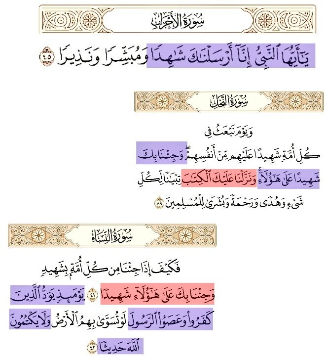 اتبعوا القران فقط tweet media
