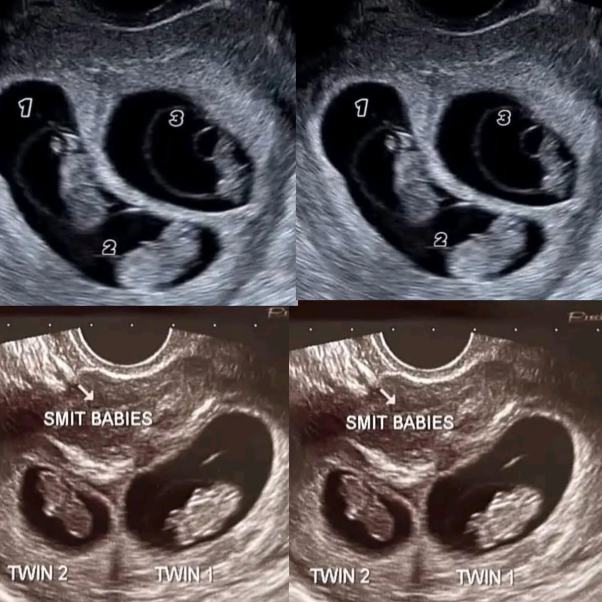 TAG HANDLER❤️💋 tweet media