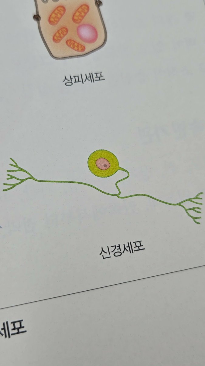 설명서 tweet media