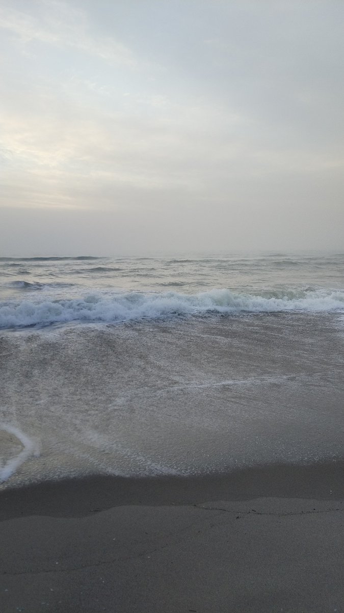 ghirigoro rogighiro  tweet media