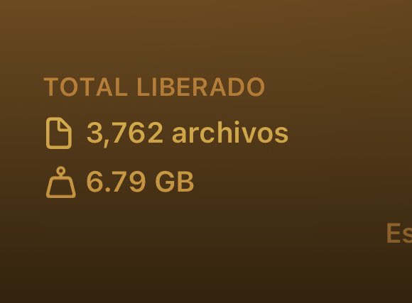 Dragona Freemartin tweet media