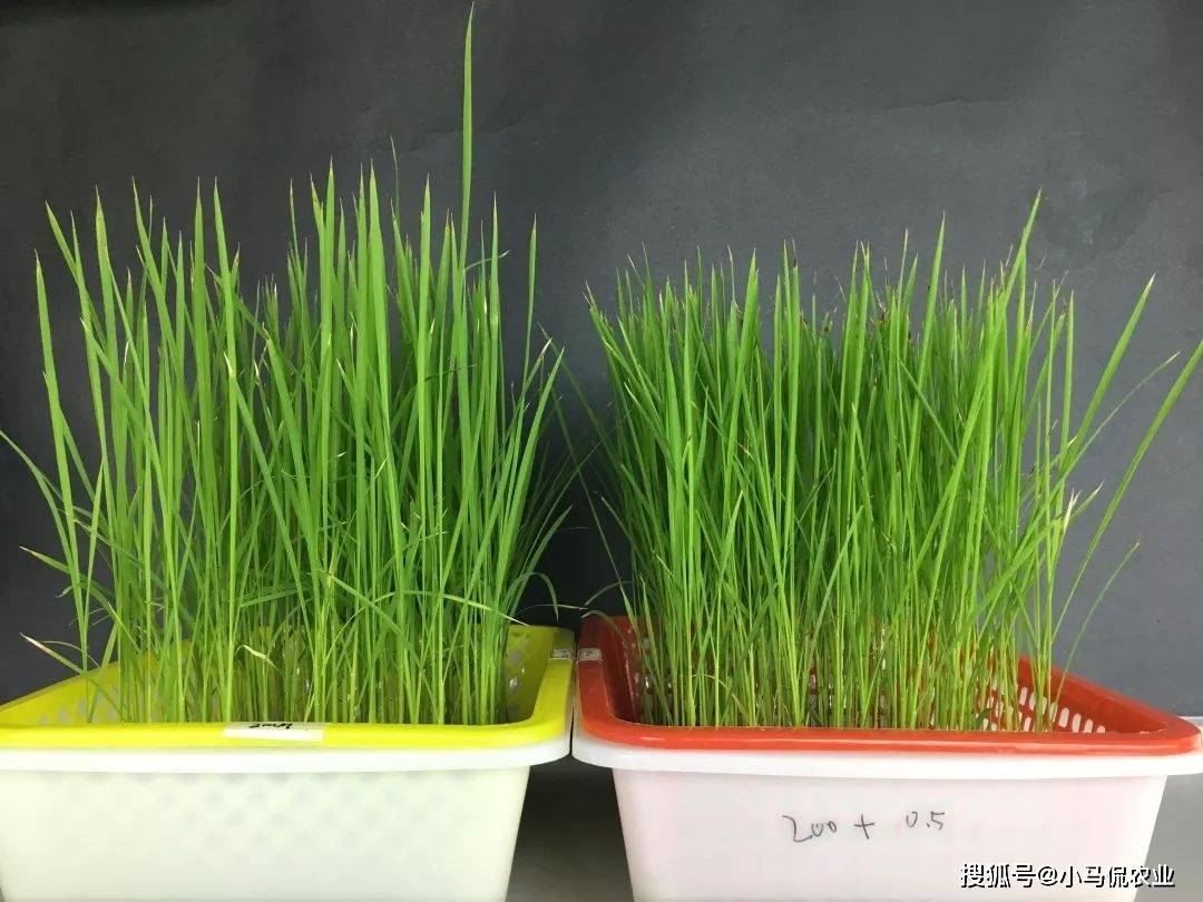 Alexandra tweet media