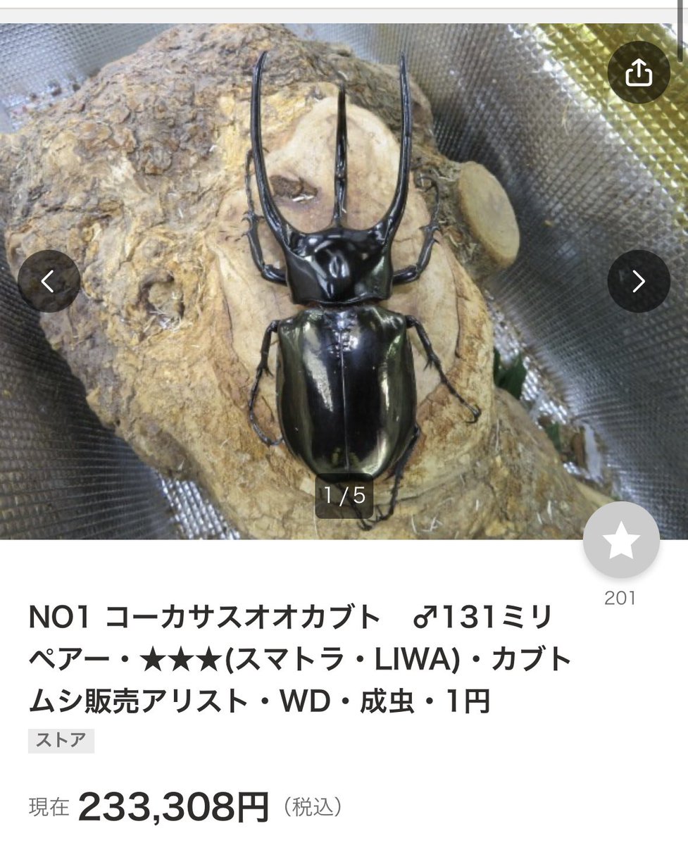 あとらんた@通常運転 tweet media