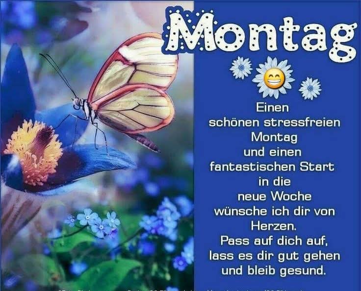 Sarah P. 🖤🤍💚 (@96engel) on Twitter photo 