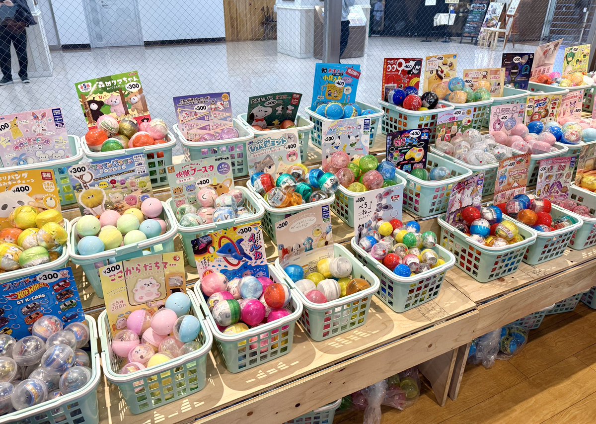 ハマち⬅横浜で暮らそう tweet media