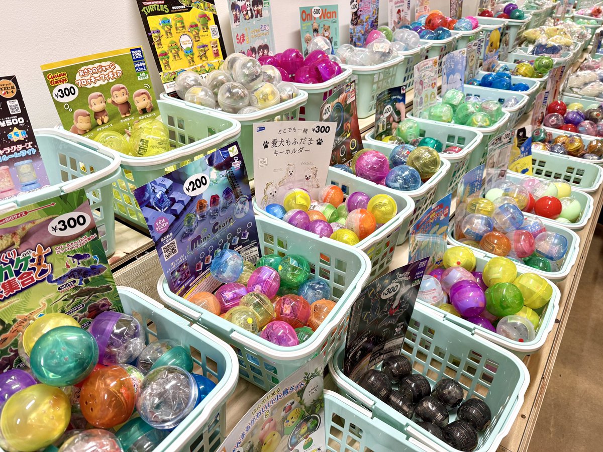 ハマち⬅横浜で暮らそう tweet media