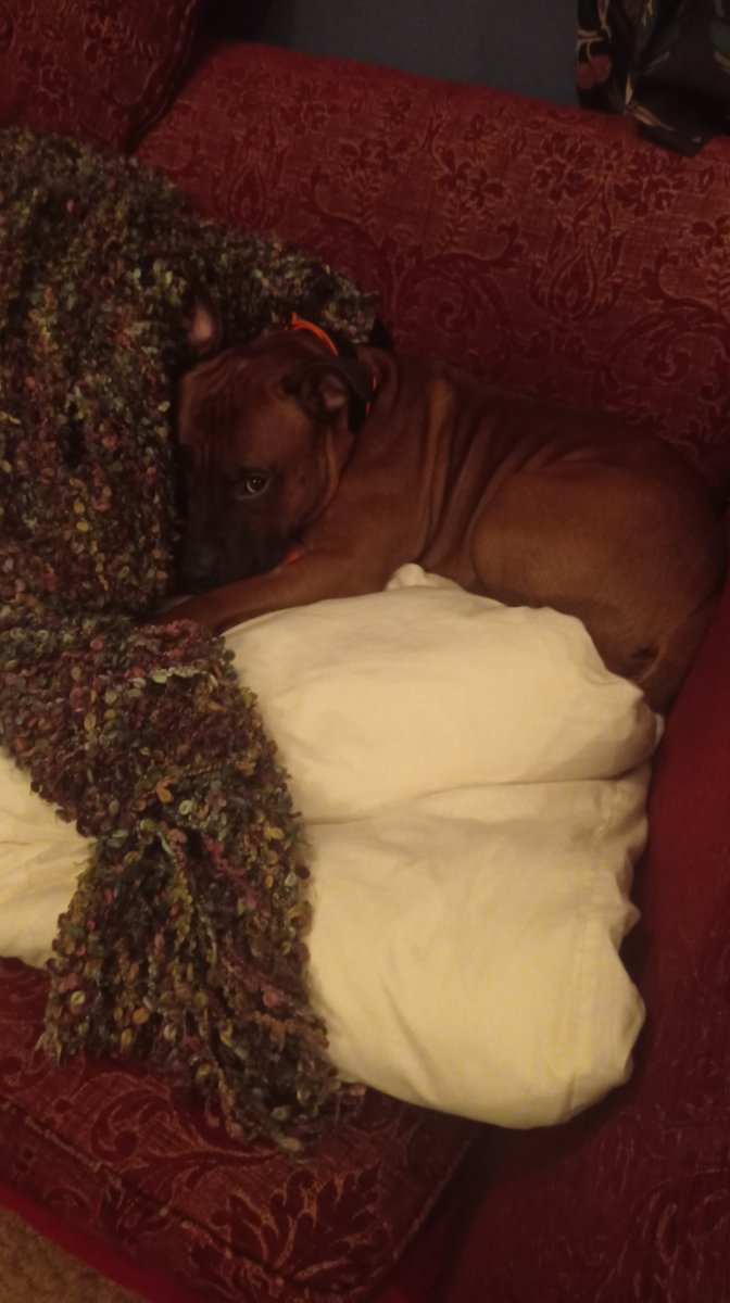 Alexandros tweet media