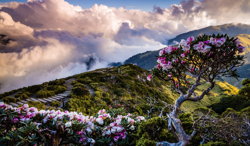 Валентина Валерьева tweet media