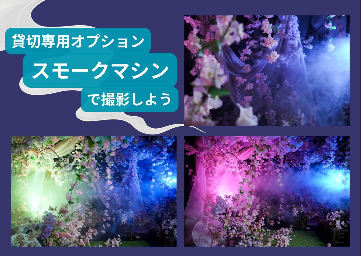 スタジオコローレ:3/2～4/30【桜🌸】 tweet media