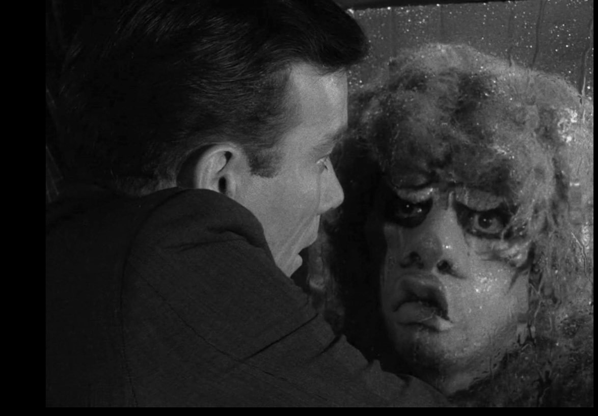 InterstellarAussie tweet media