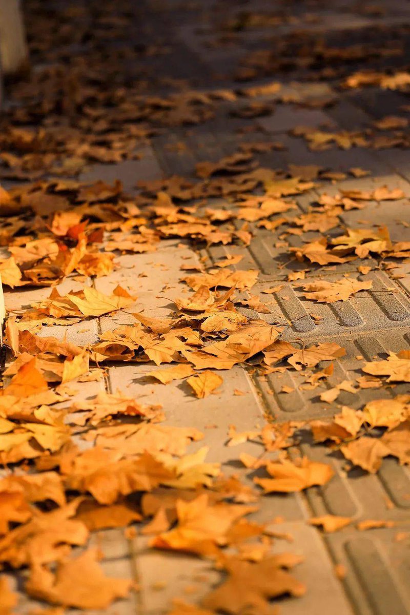 Cobre Assistant tweet media