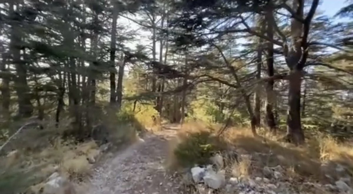 فإليك يا رب نصبت وجهي ، واليك يا رب مددت يدي ، فبعزّتك استجب لي دعائي ، وبلّغني مناي ولا تقطع من فضلك رجائي واكفني شر اعدائي ،
يا سريع الرضا، اغفر لمن لا يملك إلا الدعاء ، فانك فعّال لما تشاء.

شكراً يا رب عا نعمك كلها وعا نعمة هالنهار الجديد .