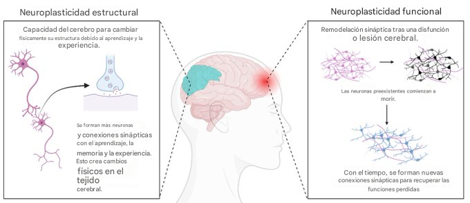 Adrián Trader tweet media